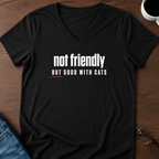 Not Friendly, But Good With Cats V-Neck Tee
