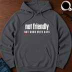 Not Friendly, But Good With Cats Hoodie