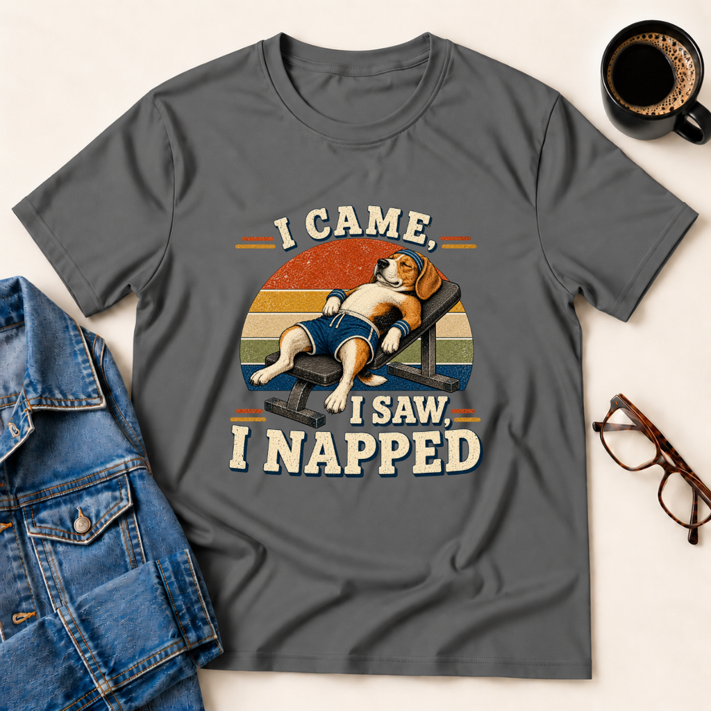 I Came, I Saw, I Napped T-Shirt