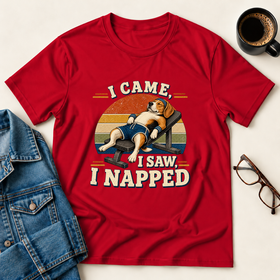 I Came, I Saw, I Napped T-Shirt